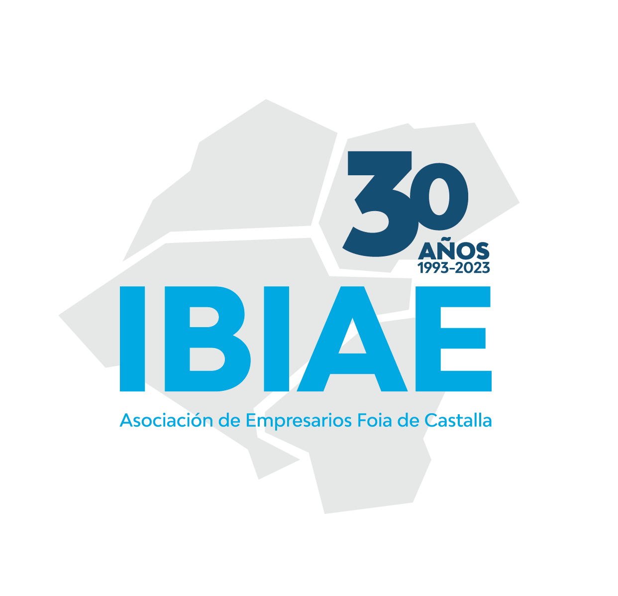 Logo IBIAE